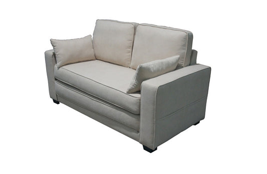 2 Seater Sofabed Simple Sofa Bed ZY-961